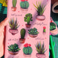 Cactus Notebook