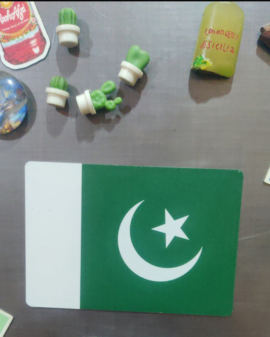 Flag Magnet