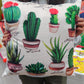 Cactus Cushion