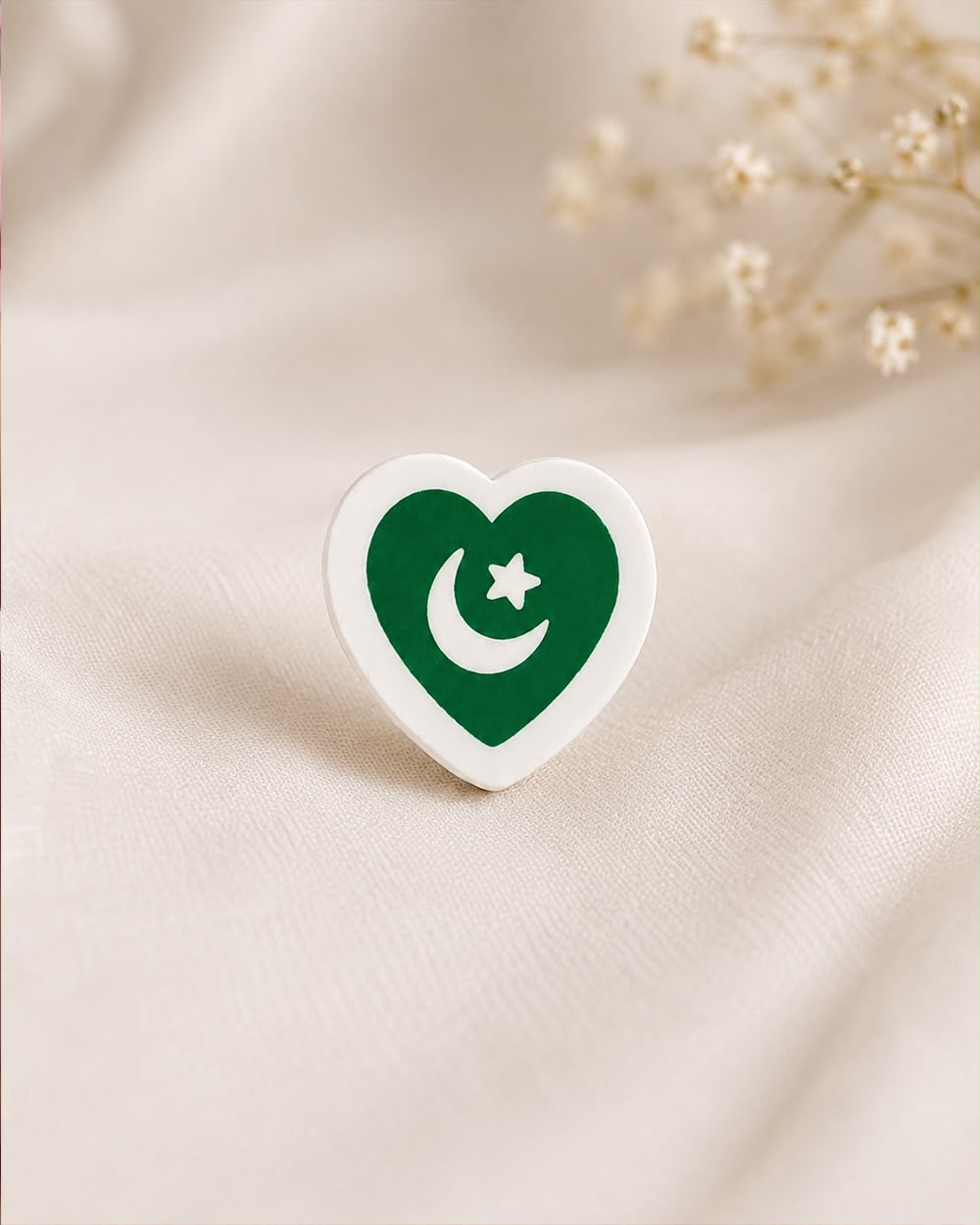 Pak Dil Pin
